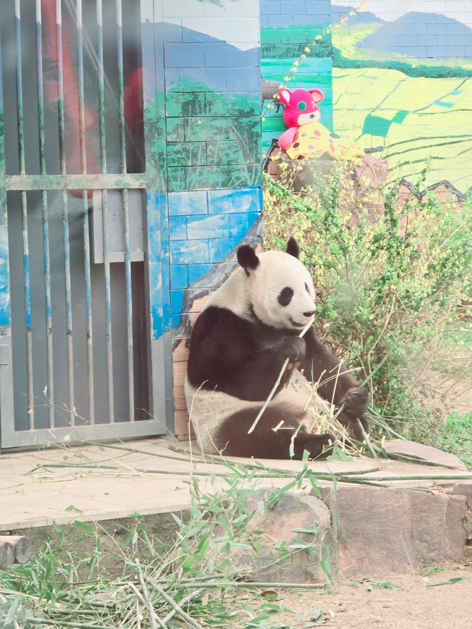 China trip 4